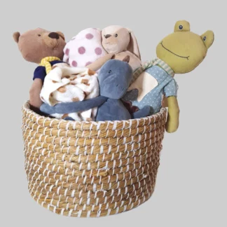 Plush Animal W/Blanket