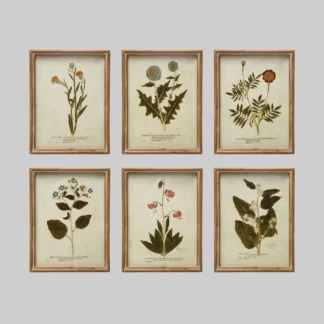 Wall Decor W/Botanical