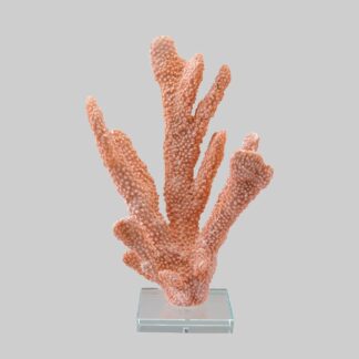 Resin Coral Decor